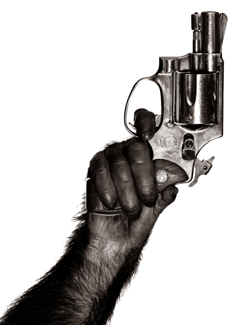 Monkey With Gun, New York City, 1992